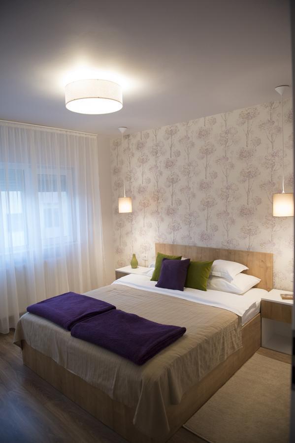 Smp Apartment 2 Timisoara Exterior photo